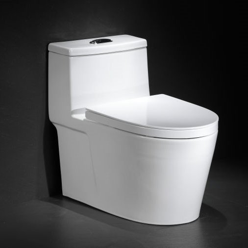 座便器HS-0052双孔超漩式冲水